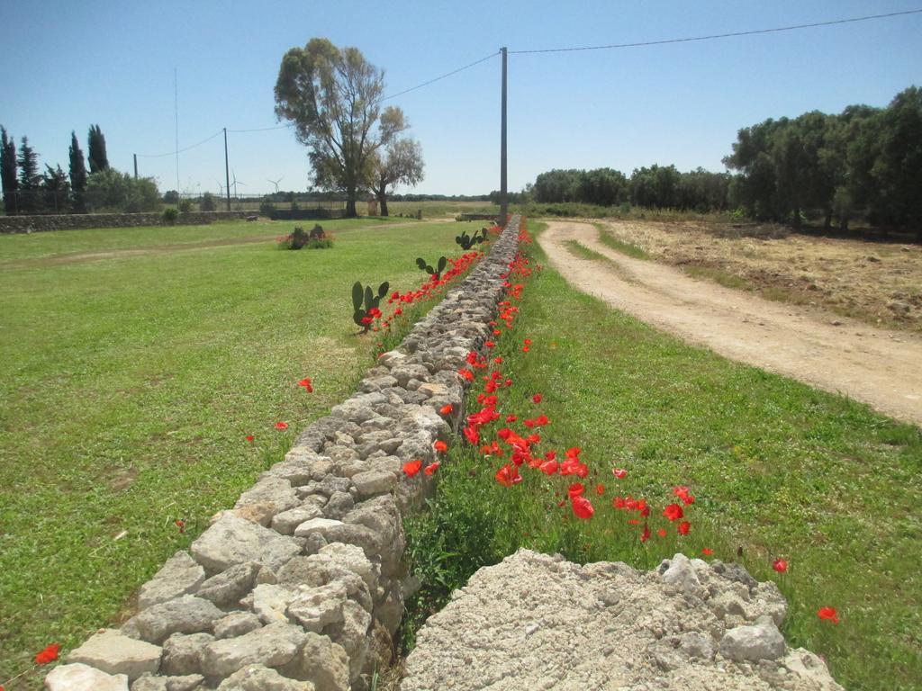 Hotel Masseria Coccioli 卡萨拉柏特 客房 照片