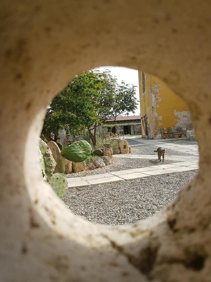Hotel Masseria Coccioli 卡萨拉柏特 外观 照片